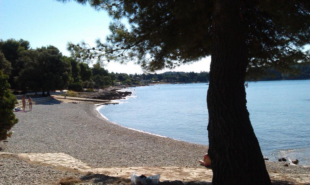 Apartments Kump Rovinj Dış mekan fotoğraf