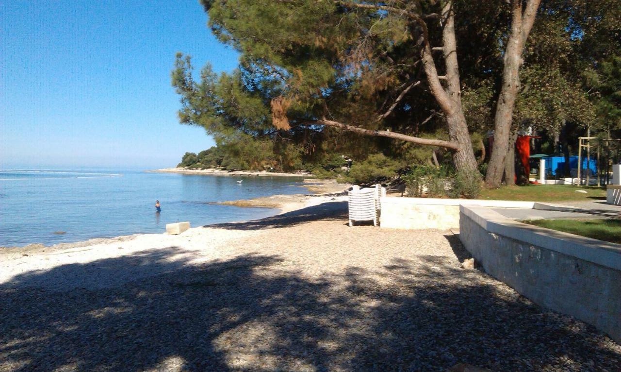 Apartments Kump Rovinj Dış mekan fotoğraf